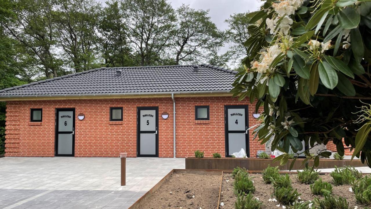 Holiday Rooms Mollebo Ansager Exterior foto